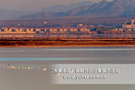 ���������������B(t��i)�ޏ�(f��)�٬F(xi��n)�B(ni��o)�(l��)�@