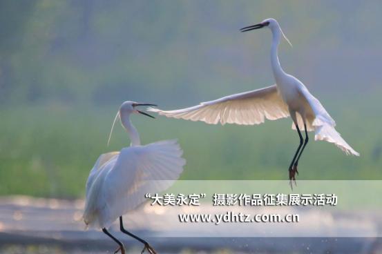 ���������������B(t��i)�ޏ�(f��)�٬F(xi��n)�B(ni��o)�(l��)�@