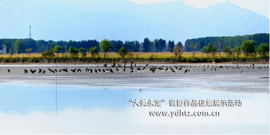 ���������������B(t��i)�ޏ�(f��)�٬F(xi��n)�B(ni��o)�(l��)�@