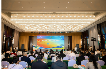 Ј(chng)(zhn)a(chn)N(xio)(du)  rƷL(fng)M(jn)ӱ