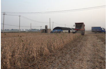 ޻�ǅ^(q��)�r(n��ng)�I(y��)�r(n��ng)��������r(n��ng)��ƌW(xu��)�Nֲ������푡�����38���S�𶹷N��Ʒ��