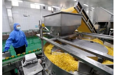 �ӱ��x�ݣ��l(f��)չ�r�aƷ��ӹ���h��(j��ng)��ע�돊�ń���