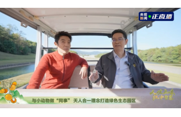 ������ζ�������ǻۣ���ؐ����a������������������Ӳ����