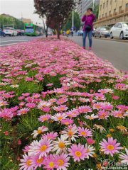 ʯf5l·ҪN40N ~ݿҊ݌ƷN