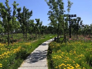 ���@ô����ȥ����˛���������Ȼ���@ô�����M(f��i)��ȥ̎��