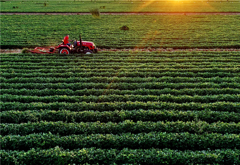 2018��9��8�գ����ݞ��ǽֵ��k��̎���Ժ����r(n��ng)�����ի@���������A��ӛ�� ������ �z.jpg