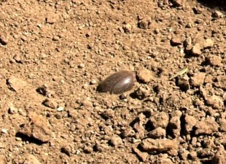 �A���@��˯�����ɏ����(f��)�ʢ�_