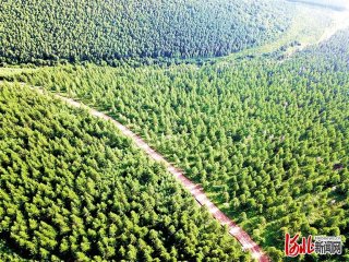 ̼�R���ס��c(di��n)�G�ɽ� �����S��ǧ�ɉ��ֈ����O(sh��)̼�R�����r(n��ng)����̽