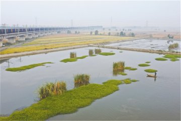 ��ɽ�S�ϣ� ���B(t��i)���B(y��ng) з�ʵ���