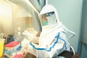 �ӱ��ȷ������η��o(h��)�W(w��ng) ����������