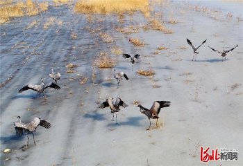 �ӱ��с��󺮕r��(ji��)���Q�����]