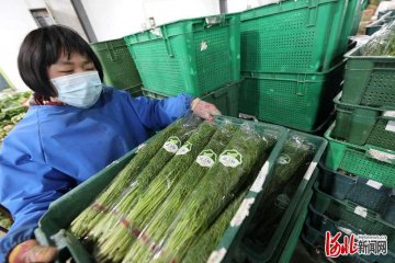 �ӱ����ȫ�����ϱ����Ј�(ch��ng)�r(n��ng)���a(ch��n)Ʒ����(y��ng)