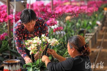 �ӱ����ϣ��r��ӭ��