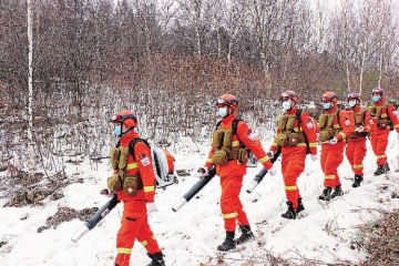 ���������ƽ��