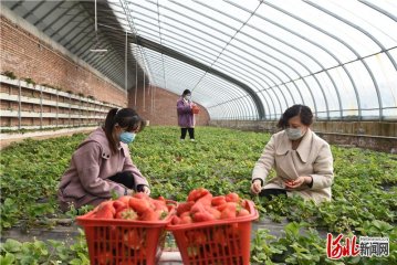 ���ҿ����»��@�^(q��)����ݮӳ�t����·