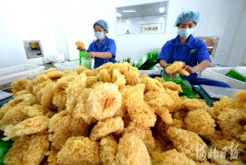 ӱݣr(nng)a(chn)Ʒa(chn)I(y) r(nng)I(y)n(j)