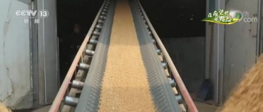 ������Z���� | ���ڙC��(g��u)��벢�e �������Օr��(ji��)�����X�ռZ���w��