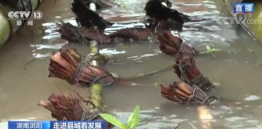 M(jn)hǿl(f)չ | ɽˮggꖎo˂MMҸ