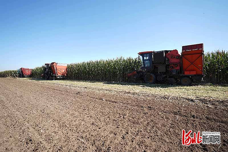 1665652512715907.jpg 邢臺1.jpg