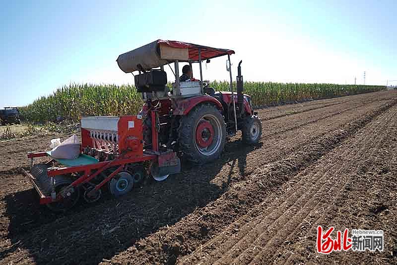 1665652555537592.jpg 邢臺3.jpg