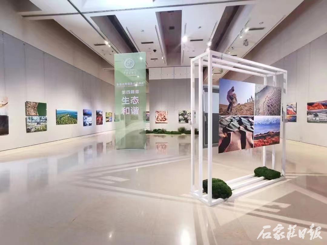 1665771462191154.jpg 優(yōu)秀攝影作品展3.jpg