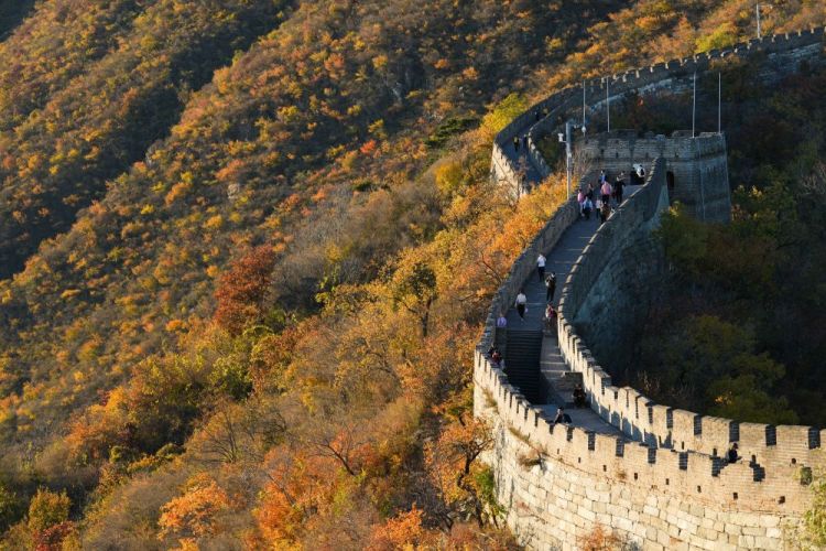 1666638042628293.jpg 秋染慕田峪1.jpg