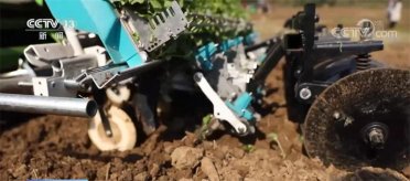 ߙC(j)еԷN Ͳ˷NֲЧ