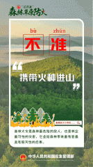 ɭֻ(zi)ʮʡҪӛ