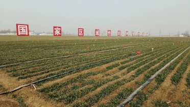 �ӱ�С����m(x��)�M�뷵���� ������������ˮƽ